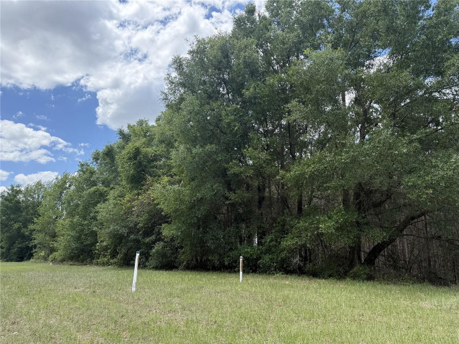 Land at 0 NW 140TH ST, CHIEFLAND, photo 15 of 33
