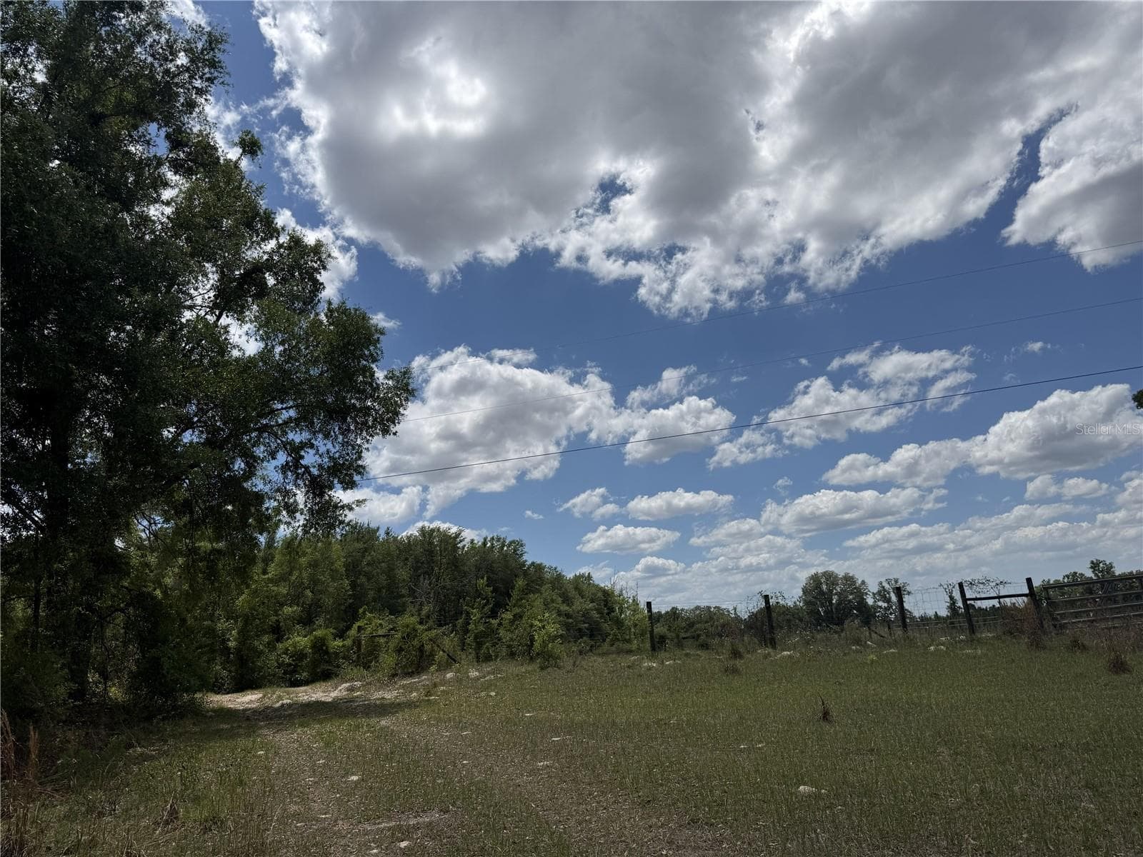 Land at 0 NW 140TH ST, CHIEFLAND, photo 20 of 33
