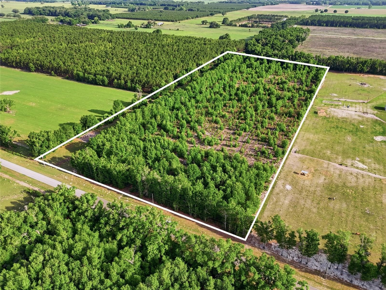 Land at 0 NW 140TH ST, CHIEFLAND, photo 21 of 33