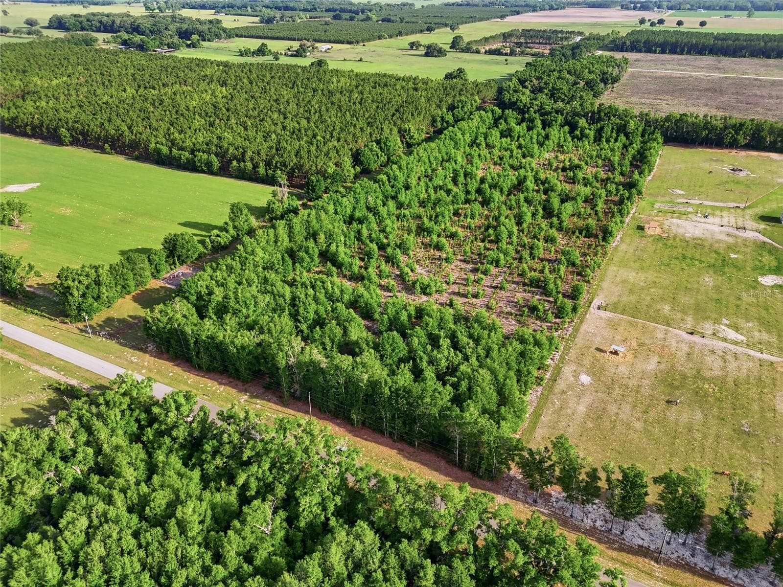 Land at 0 NW 140TH ST, CHIEFLAND, photo 22 of 33