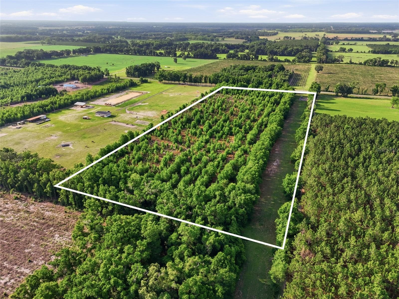 Land at 0 NW 140TH ST, CHIEFLAND, photo 31 of 33