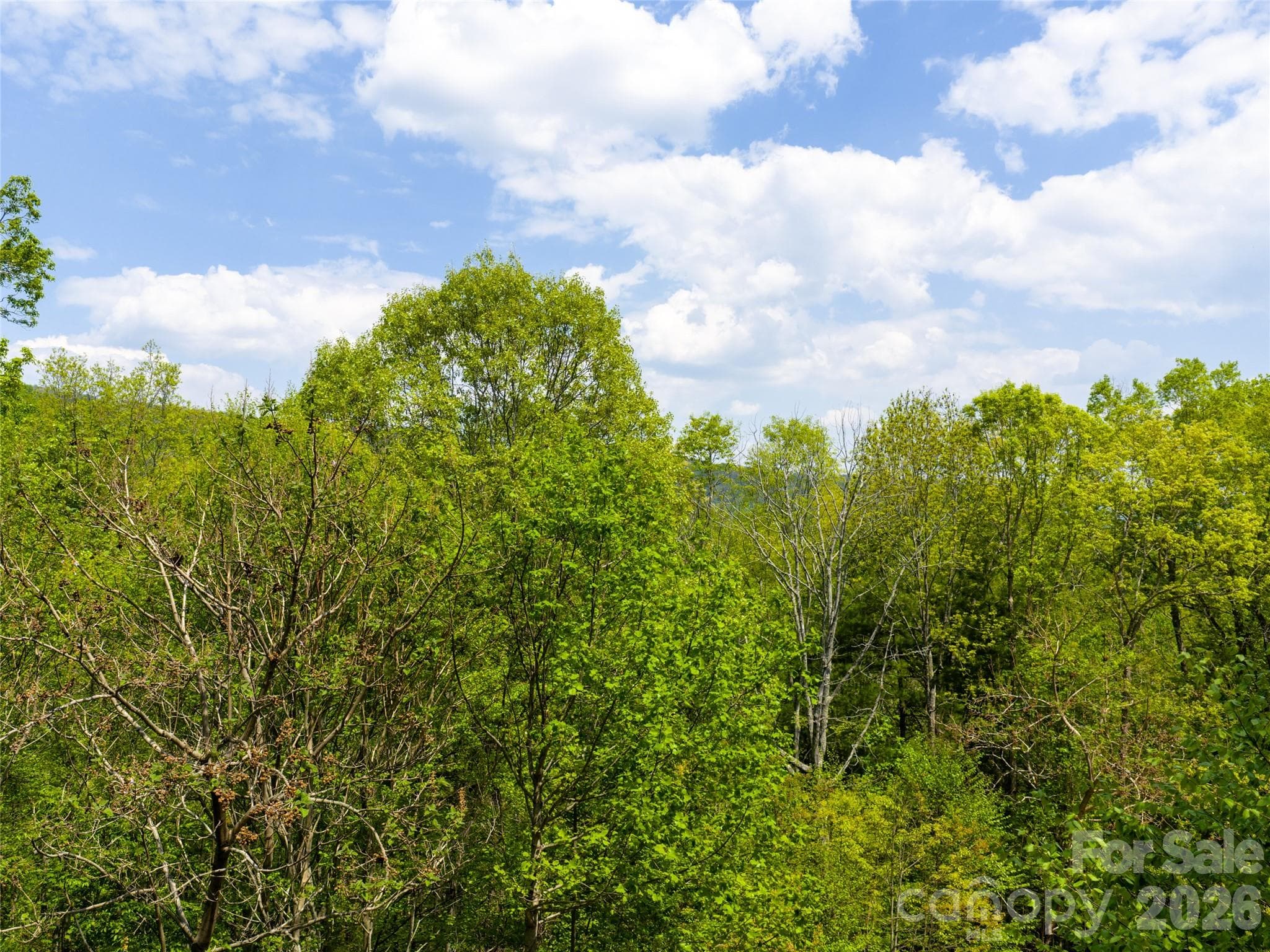 Lot at Asheville, photo 5 of 16