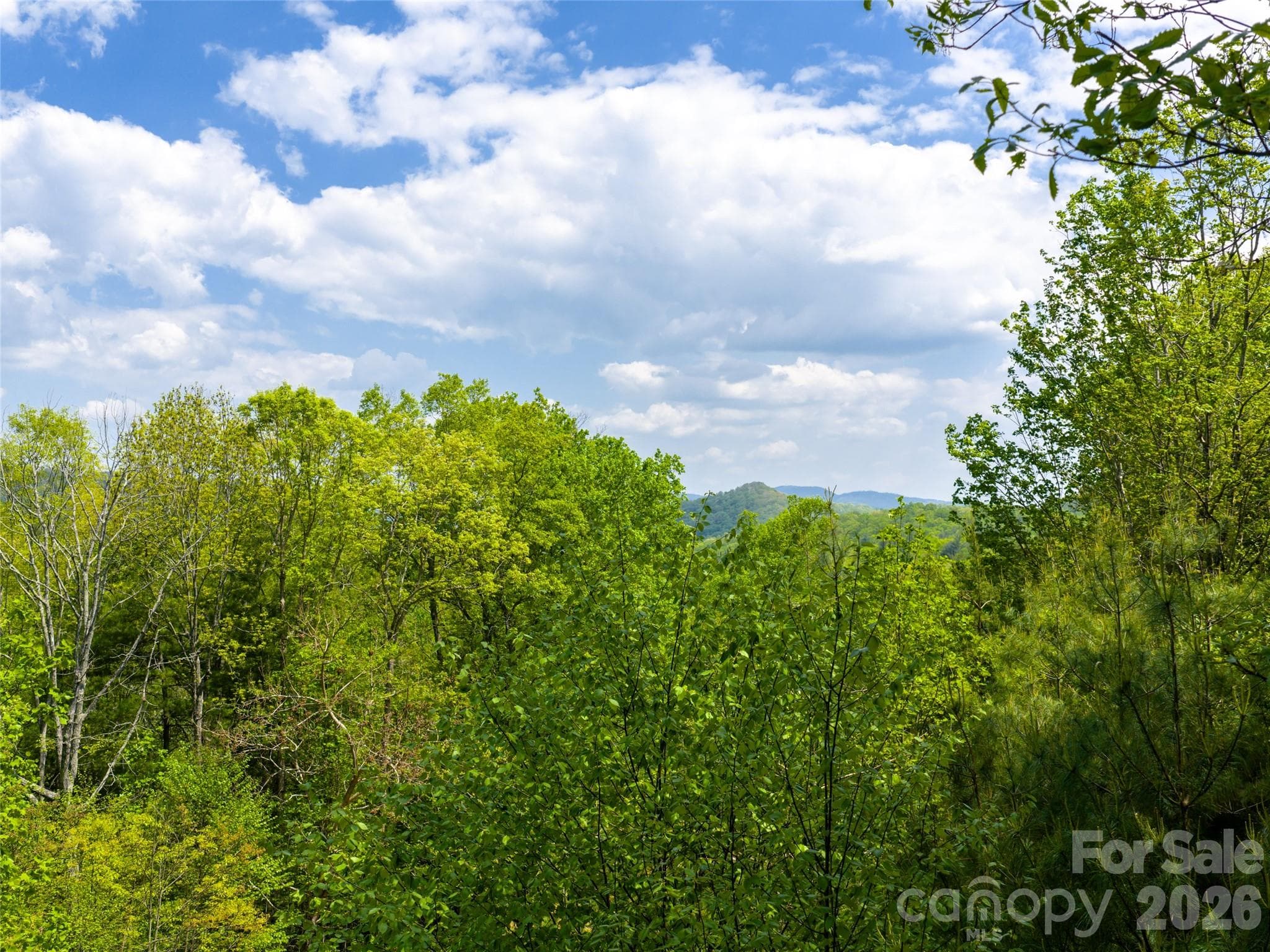 Lot at Asheville, photo 6 of 16