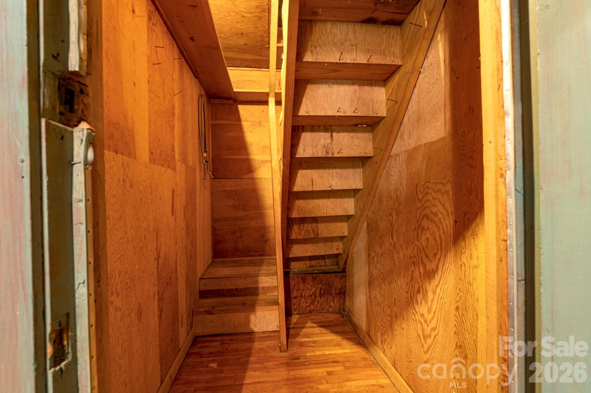 interior attic access - 257 Pine Street, Black Mountain