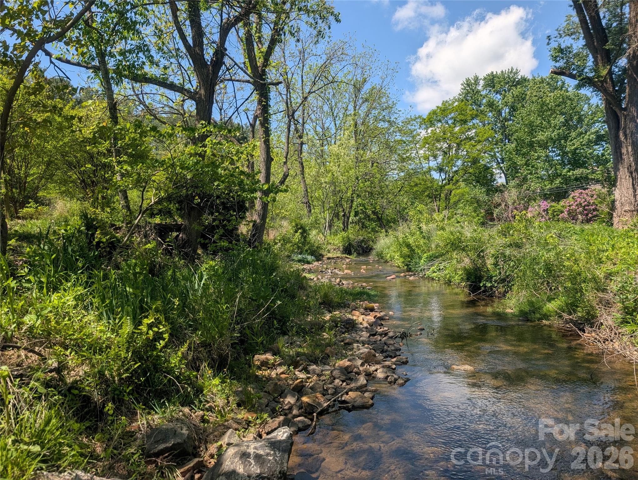 Creek at community garden - 201 Timber Drive, Asheville