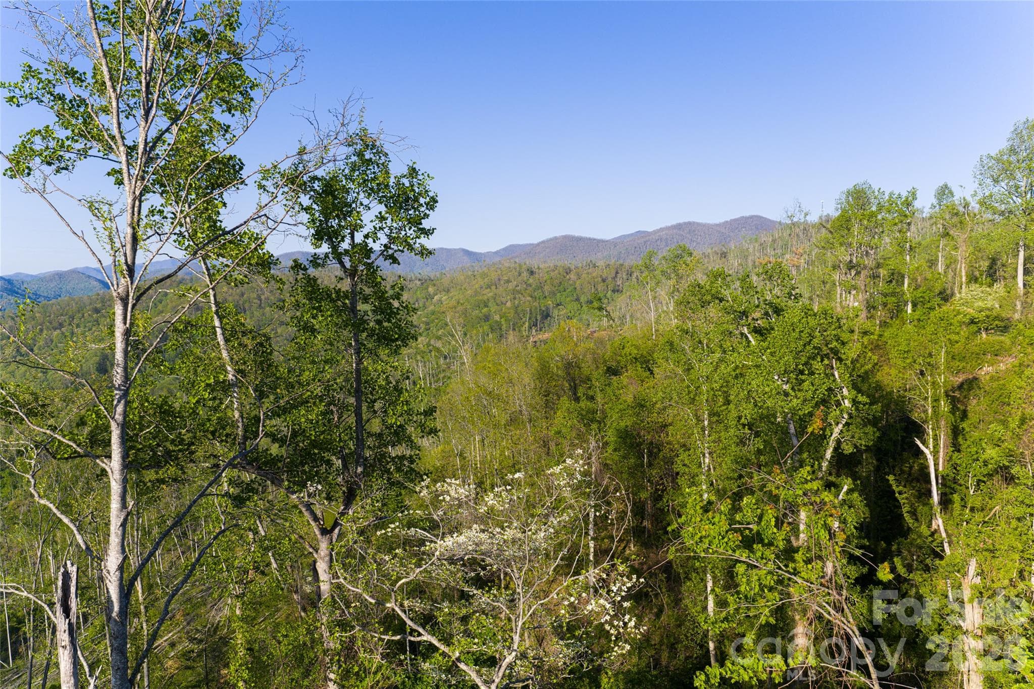 Acreage at Asheville, photo 34 of 48