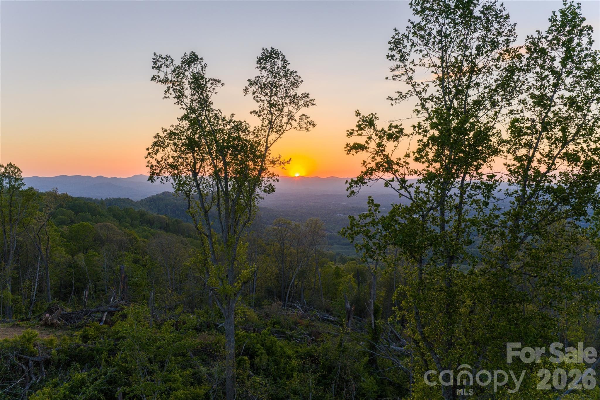 Acreage at Asheville, photo 7 of 38