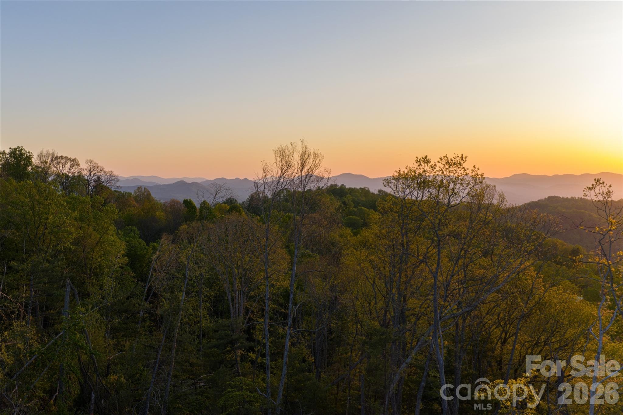 Acreage at Asheville, photo 16 of 38