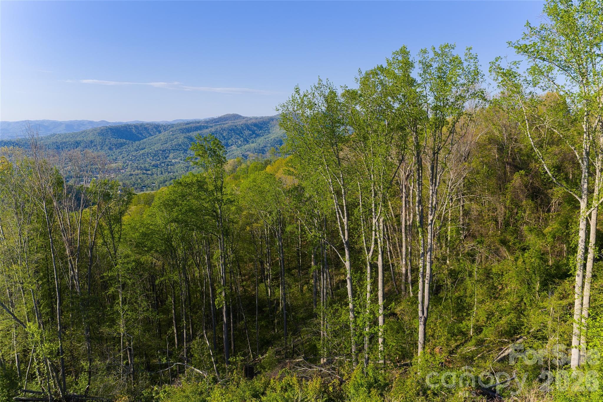 Acreage at Asheville, photo 25 of 38