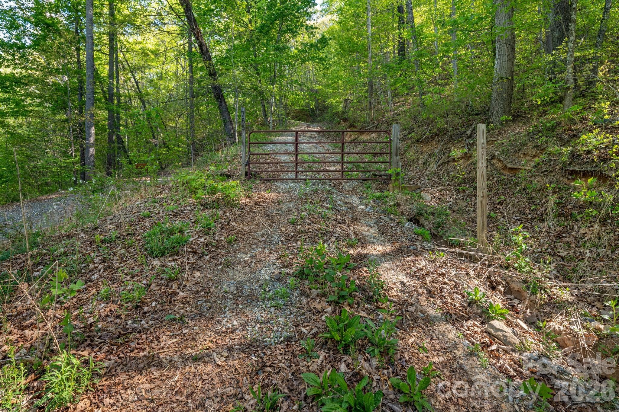 Lot at 785 Laurel Spring Drive, Bryson City, photo 3 of 13