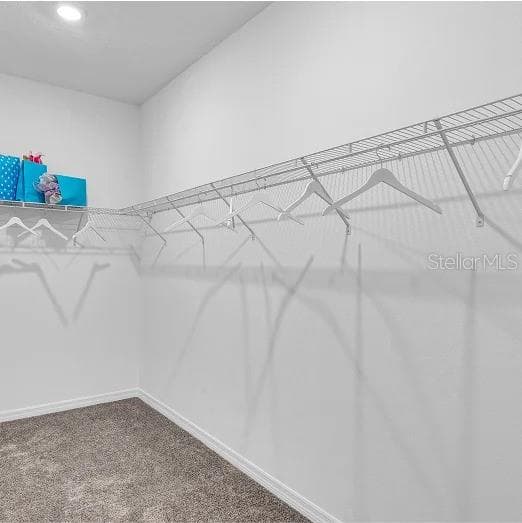 Walk In Closet - 639 TERRAPIN DR, DEBARY