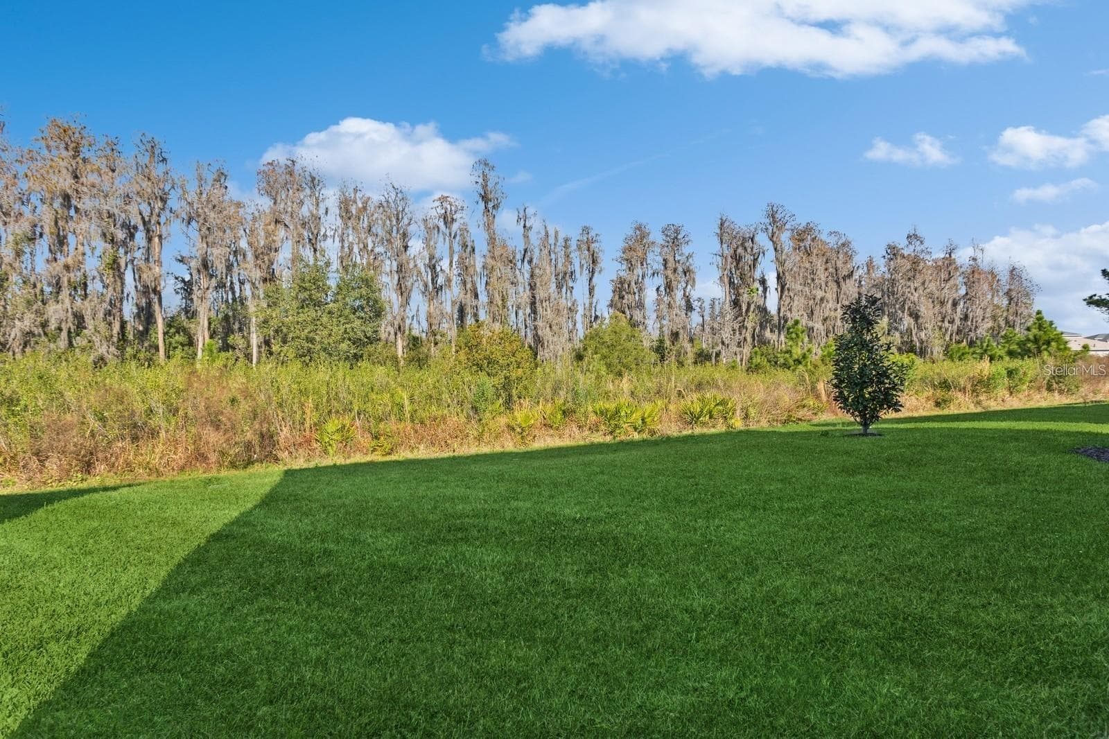Single Family Residence at 3281 GREAT BANYAN WAY, WESLEY CHAPEL, photo 38 of 45