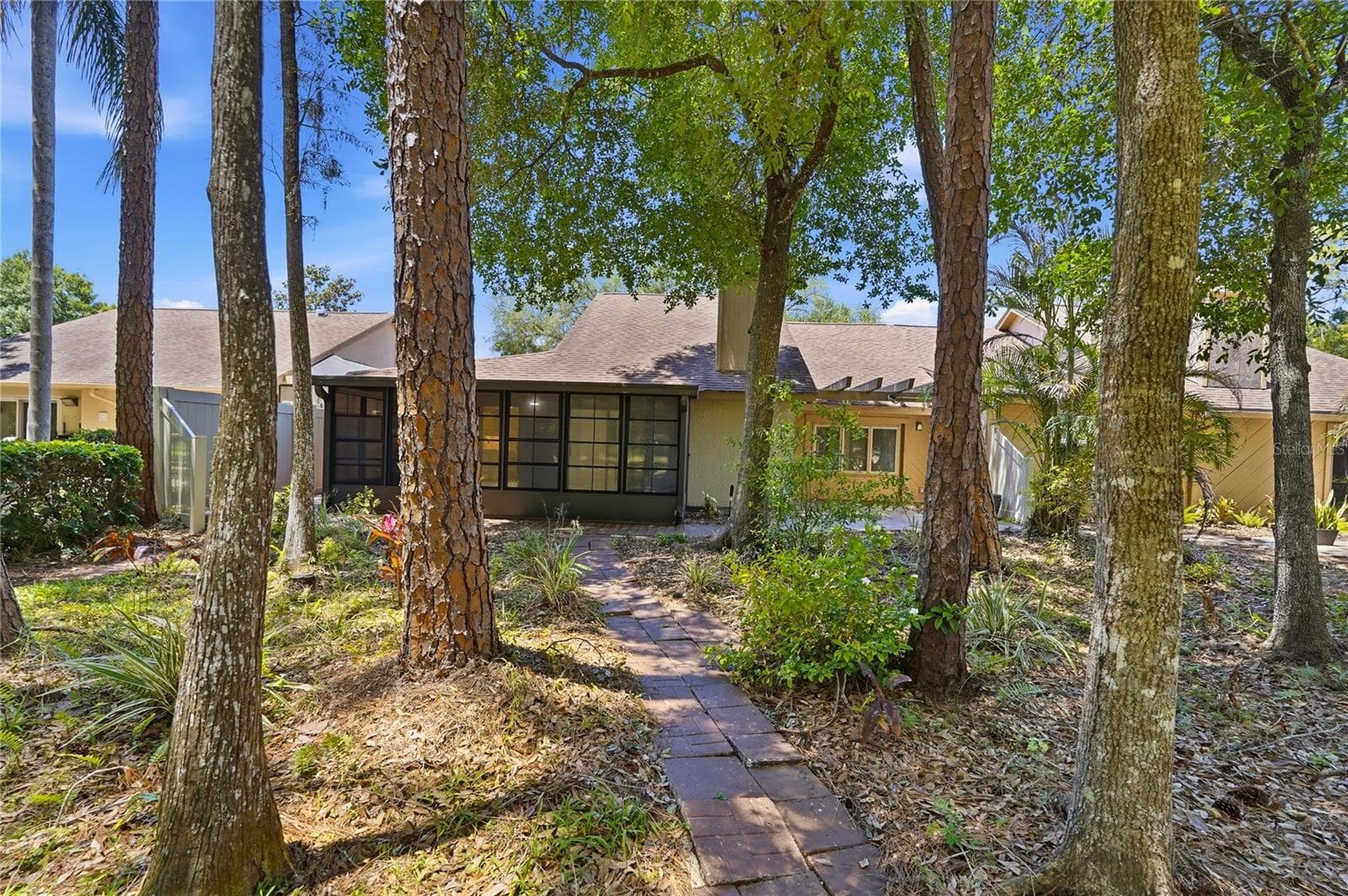 Back Yard View - 3071 BOLT DR, PALM HARBOR