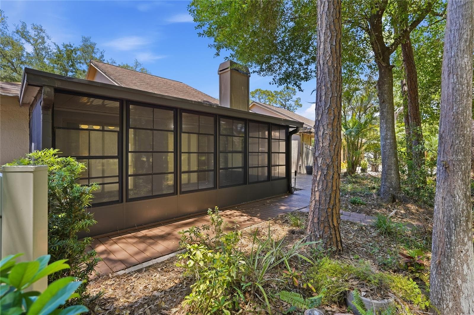 Back of Home - 3071 BOLT DR, PALM HARBOR