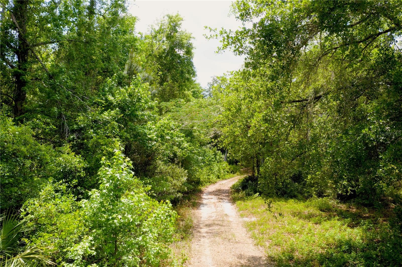 Land at 16500 NE 48TH AVE, CITRA, photo 3 of 17