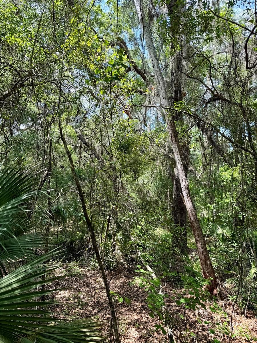 Land at 16500 NE 48TH AVE, CITRA, photo 4 of 17