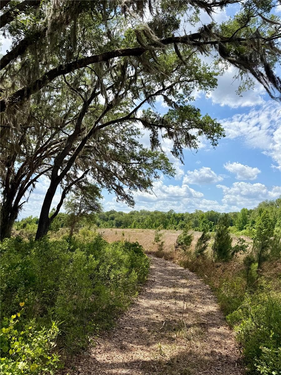 Land at 16500 NE 48TH AVE, CITRA, photo 6 of 17