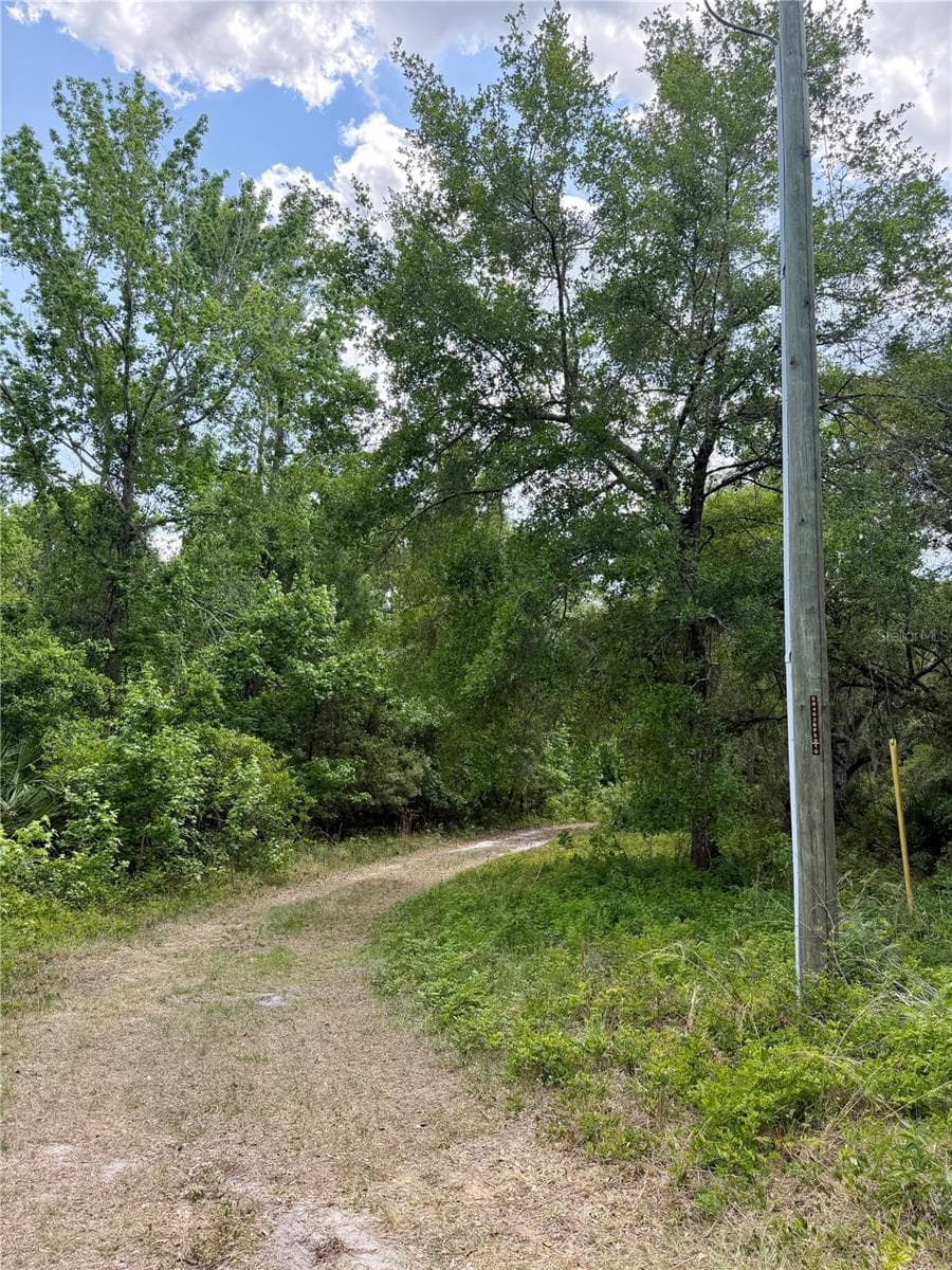 Land at 16500 NE 48TH AVE, CITRA, photo 11 of 17