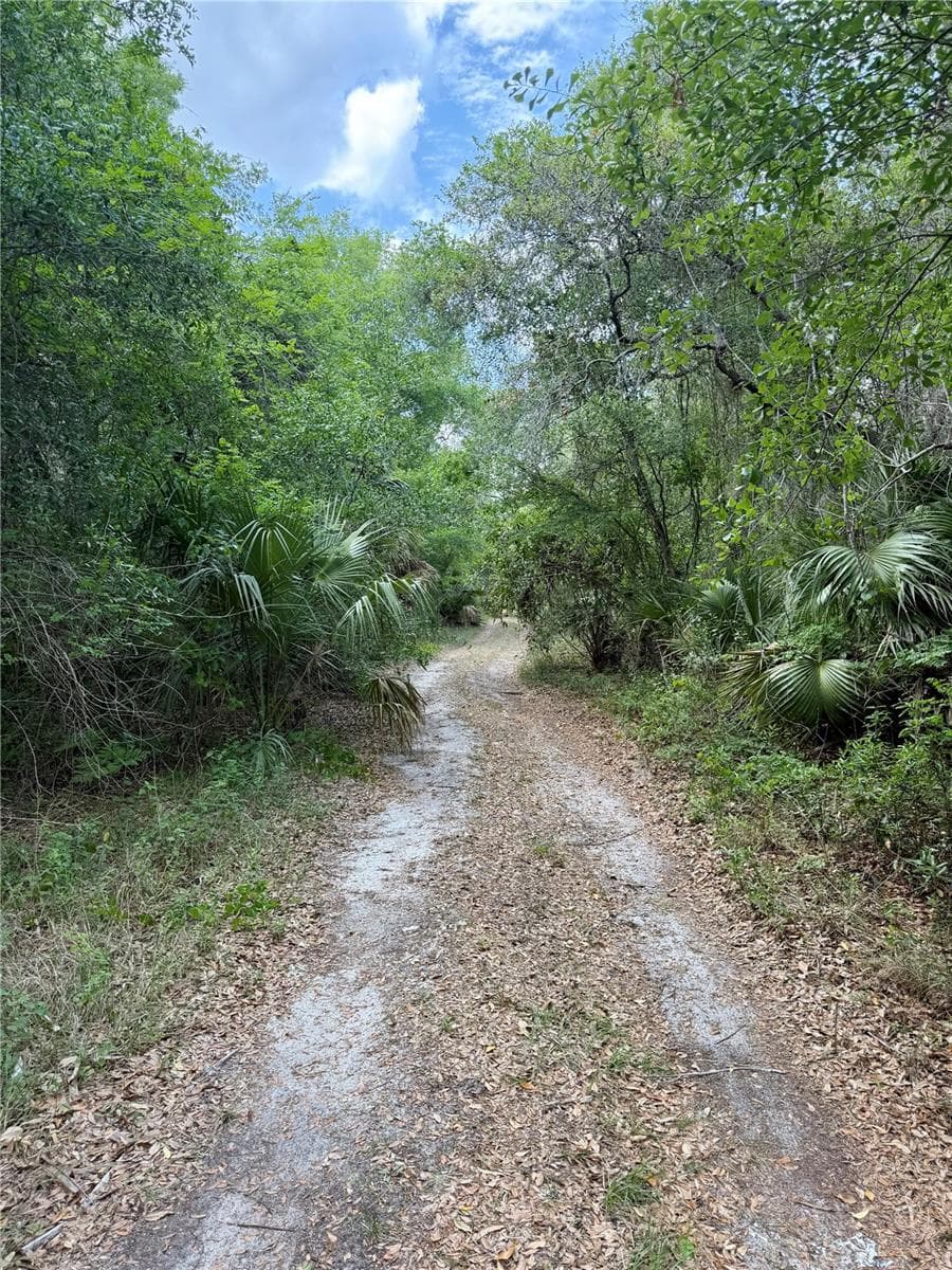 Land at 16500 NE 48TH AVE, CITRA, photo 12 of 17