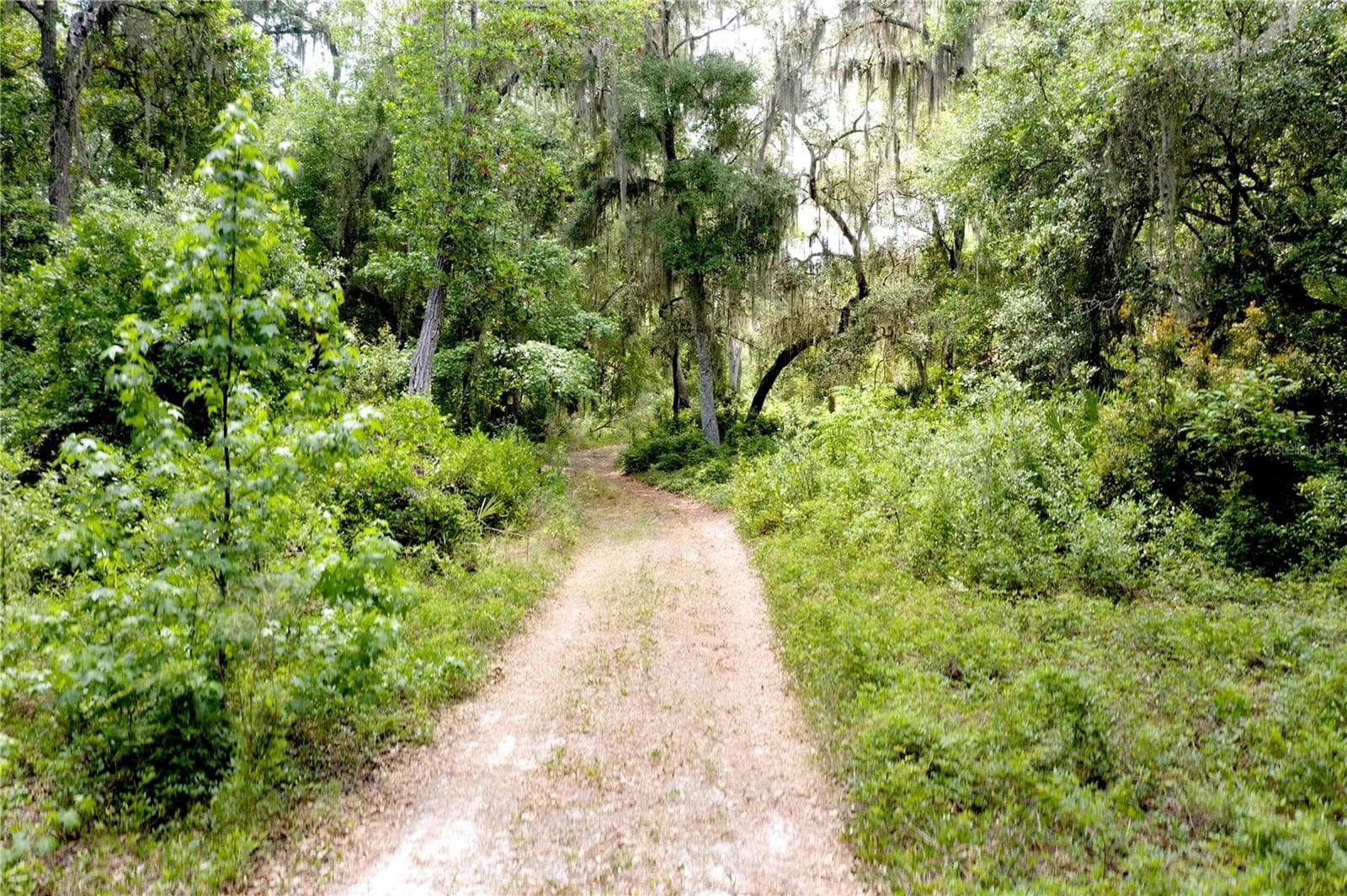 Land at 16500 NE 48TH AVE, CITRA, photo 13 of 17