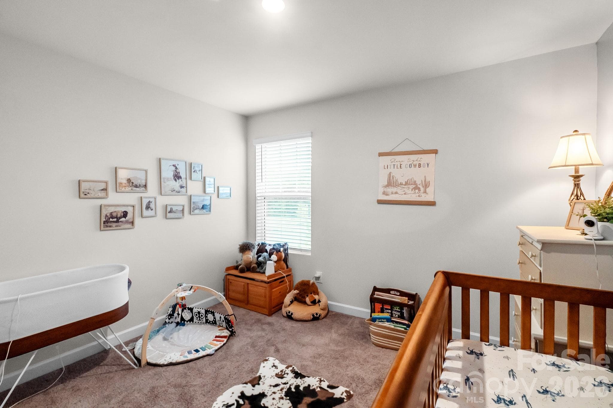 Single Family Residence at 1006 Jeffery Dean Court, Albemarle, photo 38 of 47