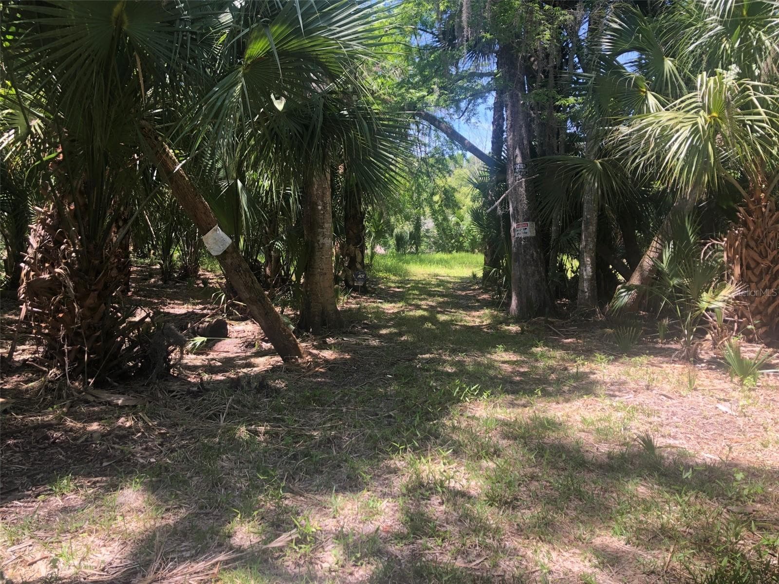Land at 241 NOVA DR, SANFORD, photo 4 of 14
