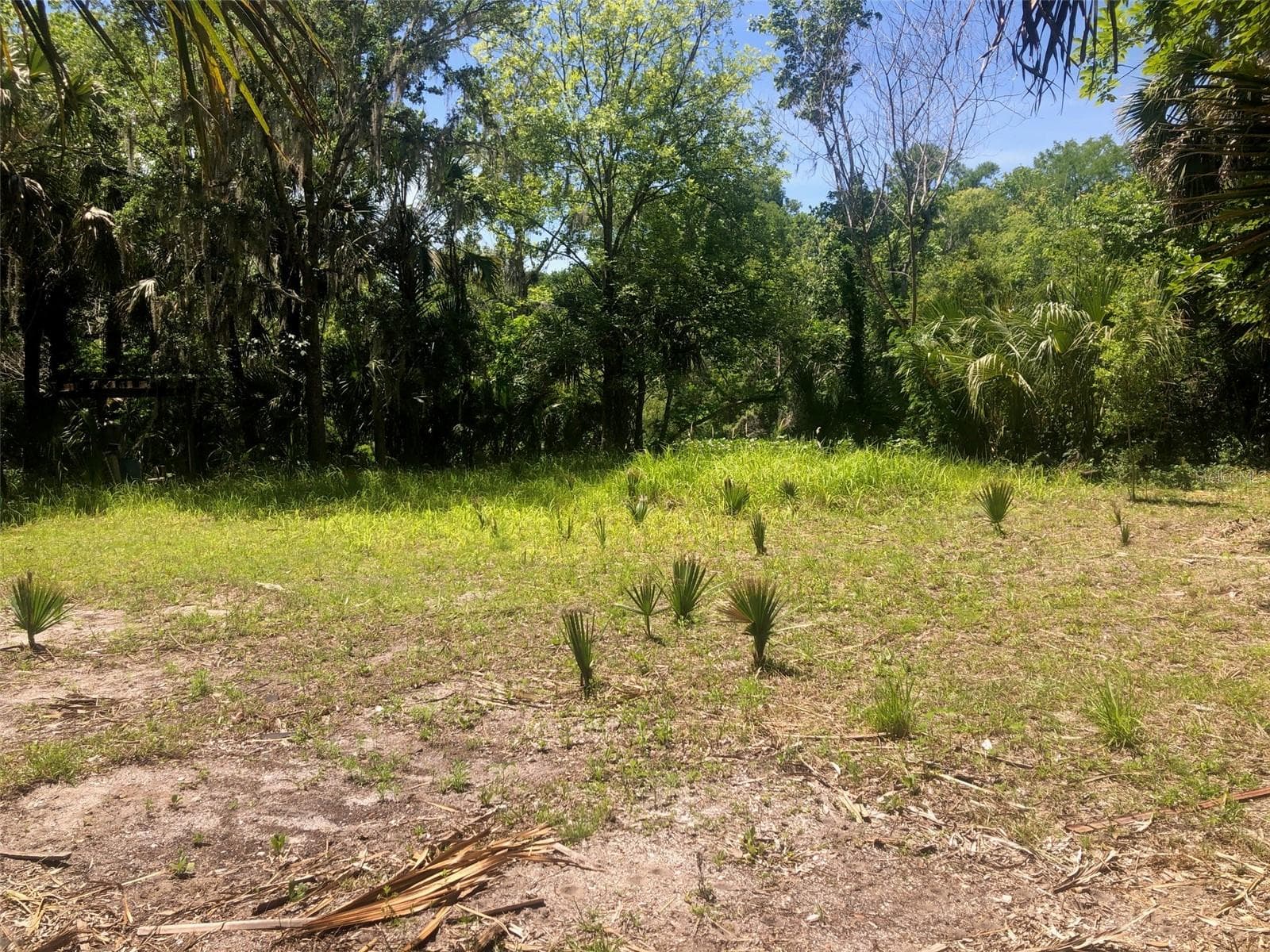 Land at 241 NOVA DR, SANFORD, photo 5 of 14