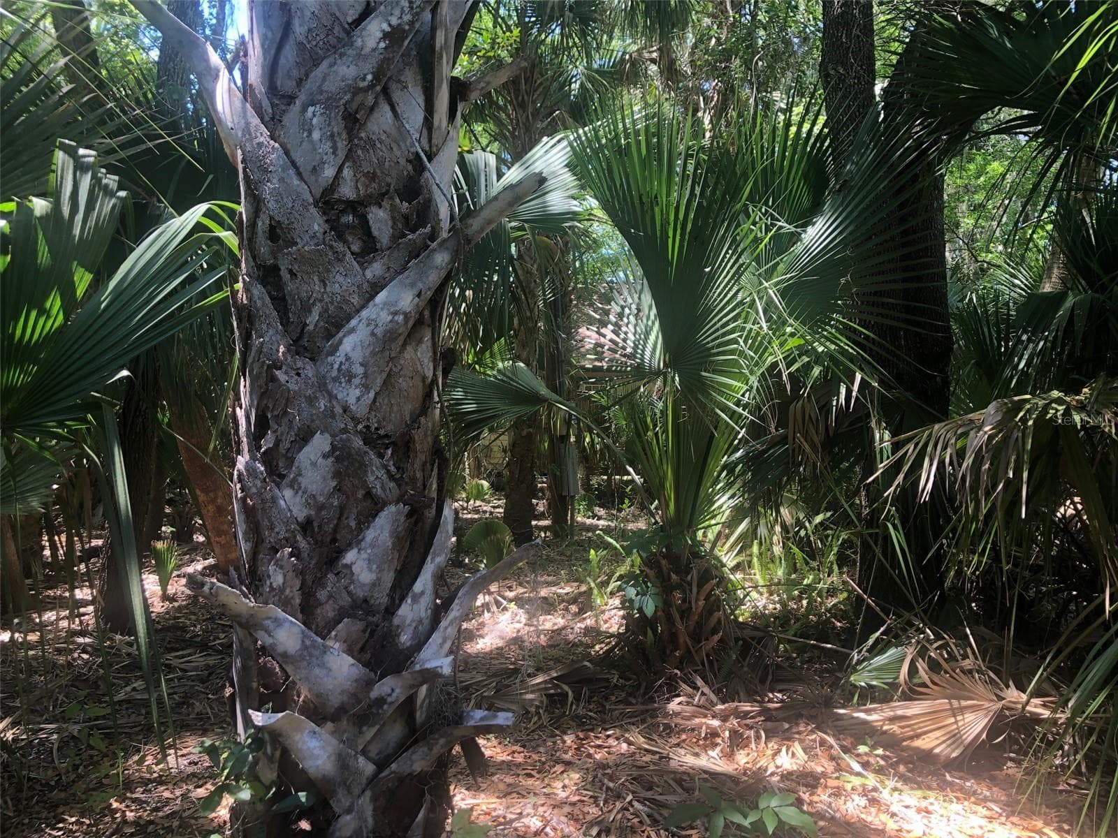 Land at 241 NOVA DR, SANFORD, photo 9 of 14