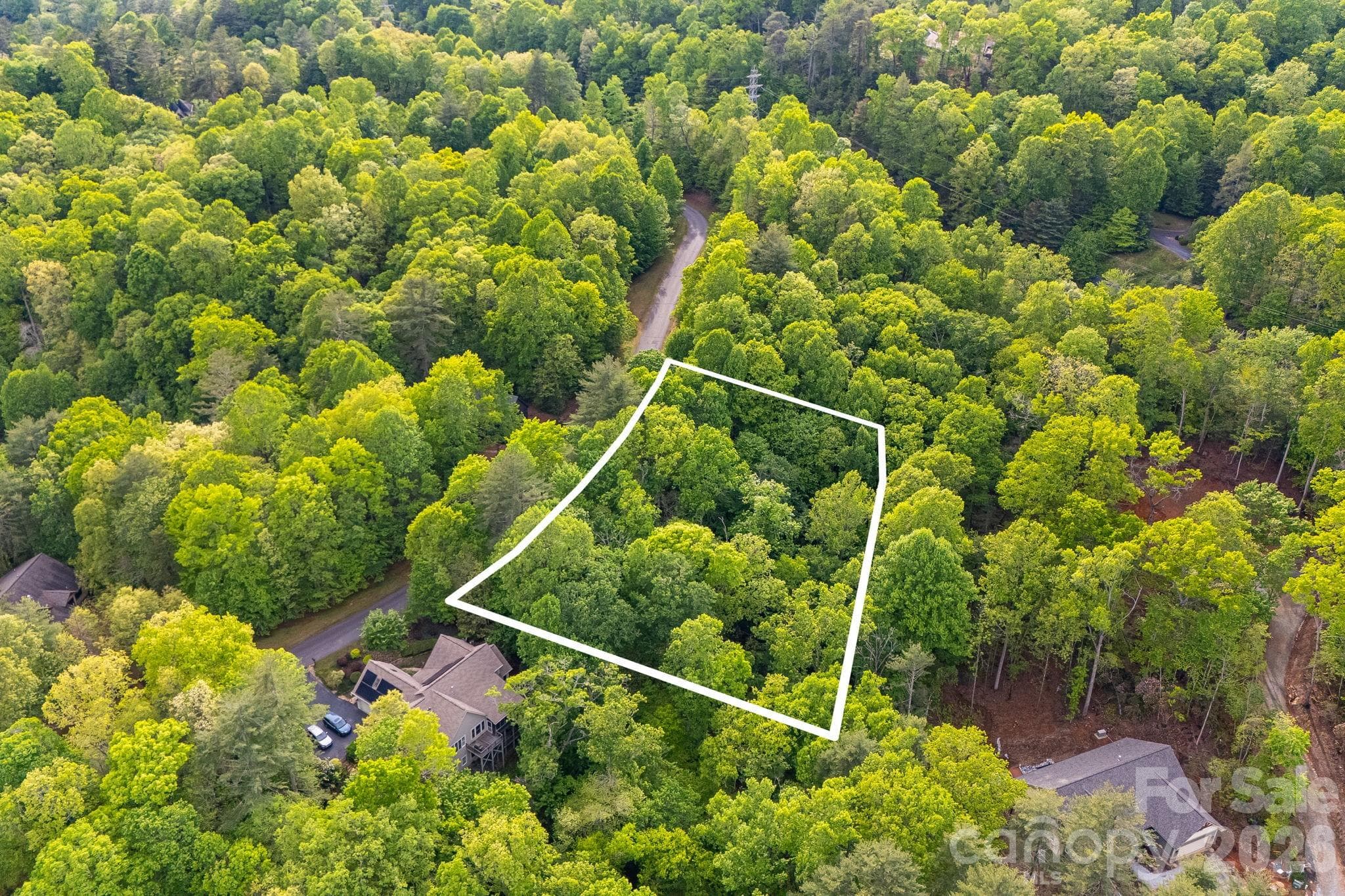 Lot at 0000 Newcastle Road, Brevard, photo 5 of 29
