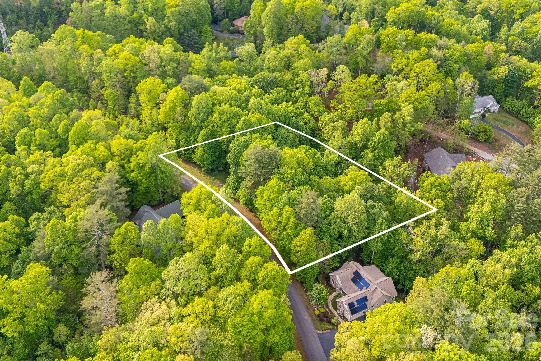 Lot at 0000 Newcastle Road, Brevard, photo 6 of 29