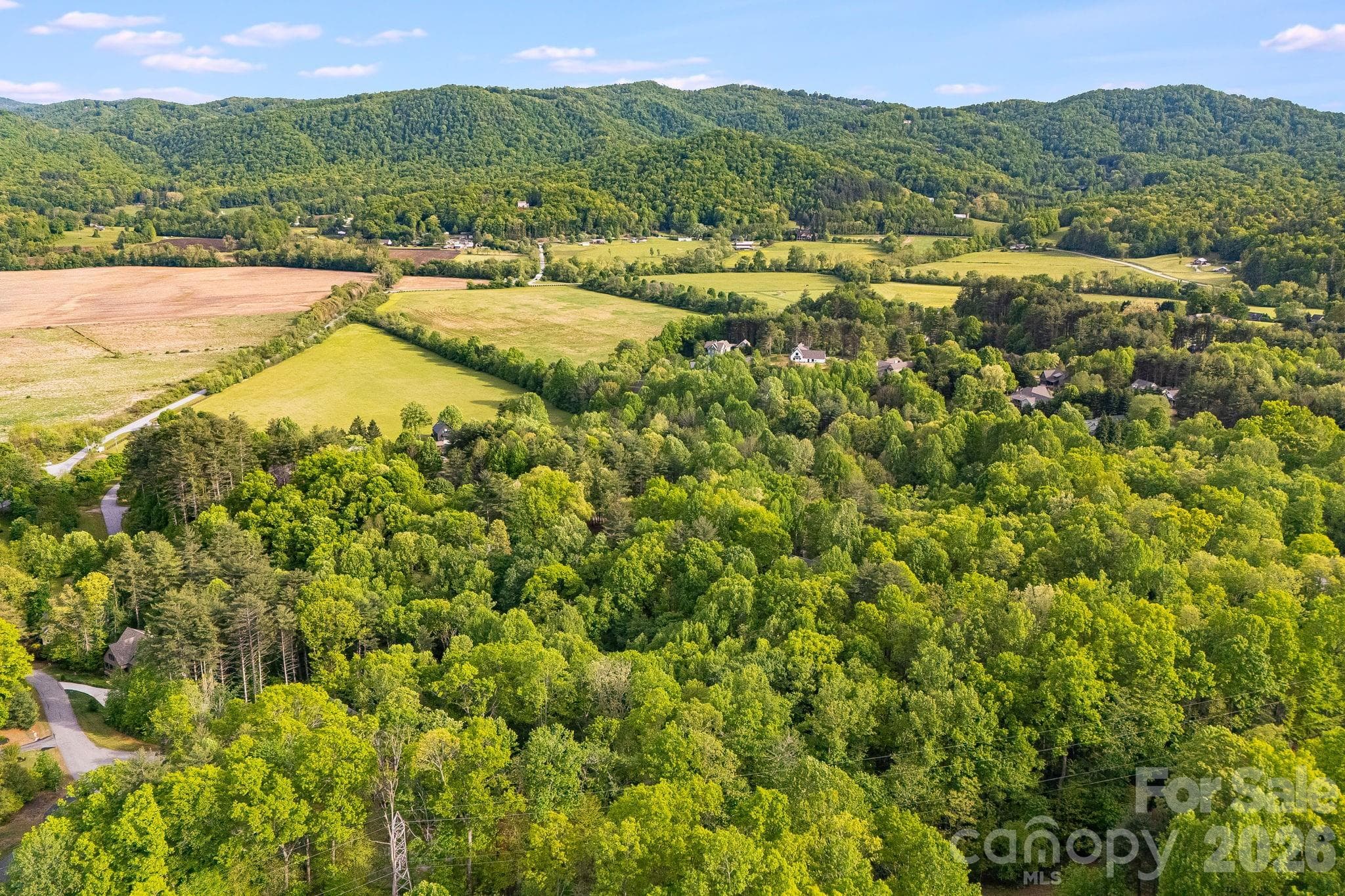 Lot at 0000 Newcastle Road, Brevard, photo 19 of 29