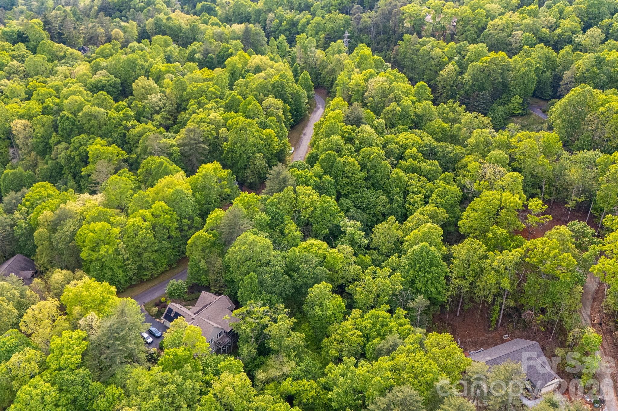 Lot at 0000 Newcastle Road, Brevard, photo 23 of 29