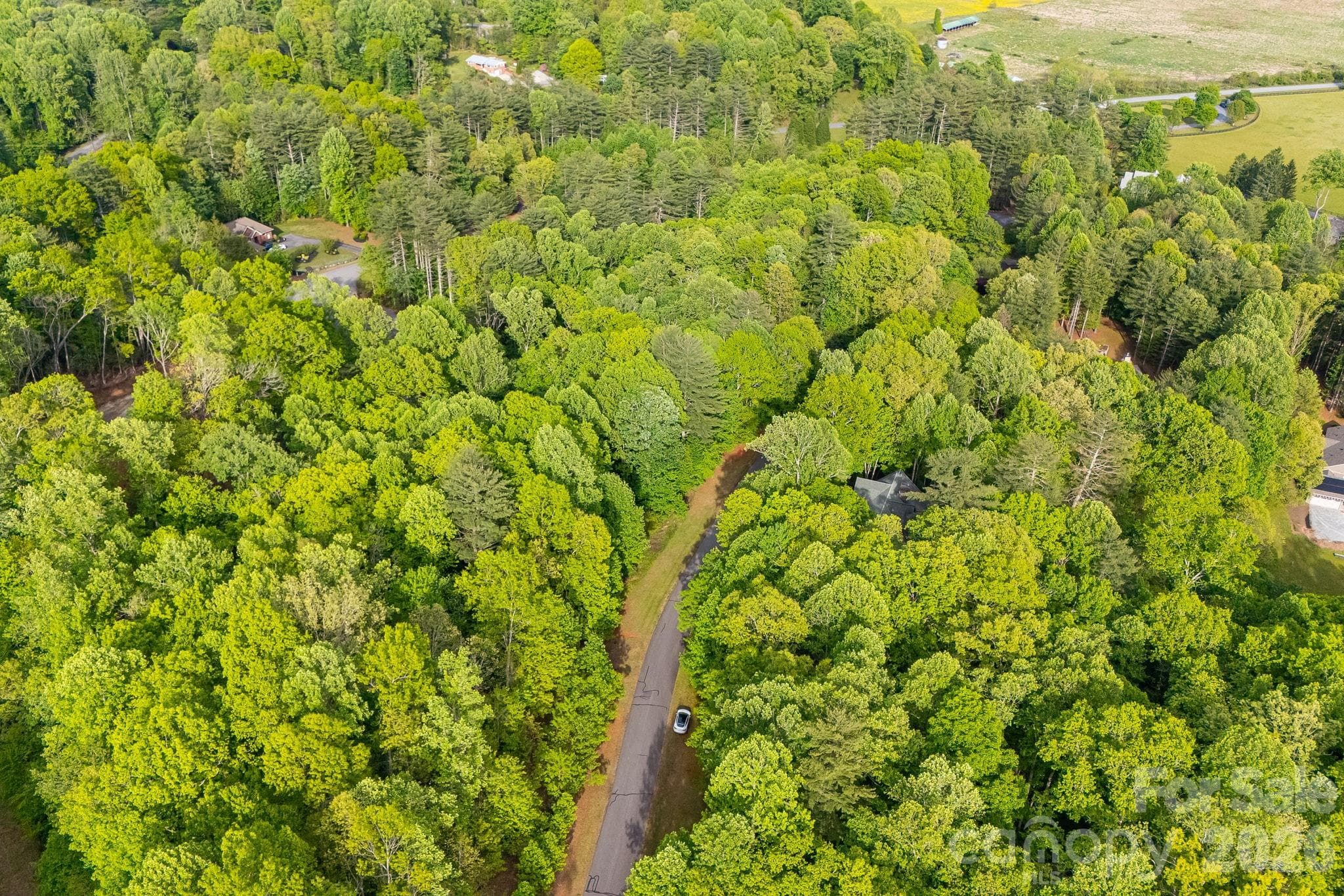 Lot at 0000 Newcastle Road, Brevard, photo 28 of 29
