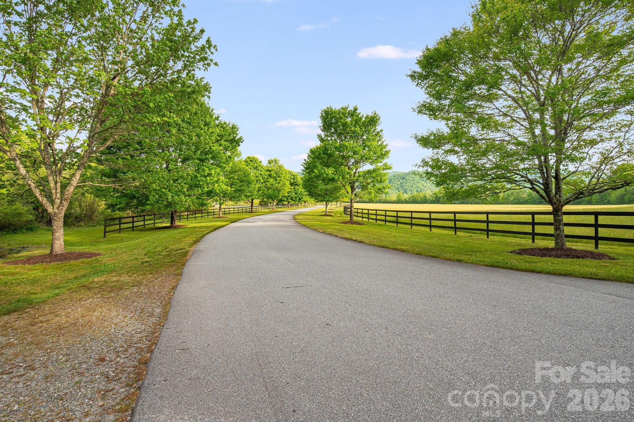 Lot at 0000 Newcastle Road, Brevard, photo 14 of 29