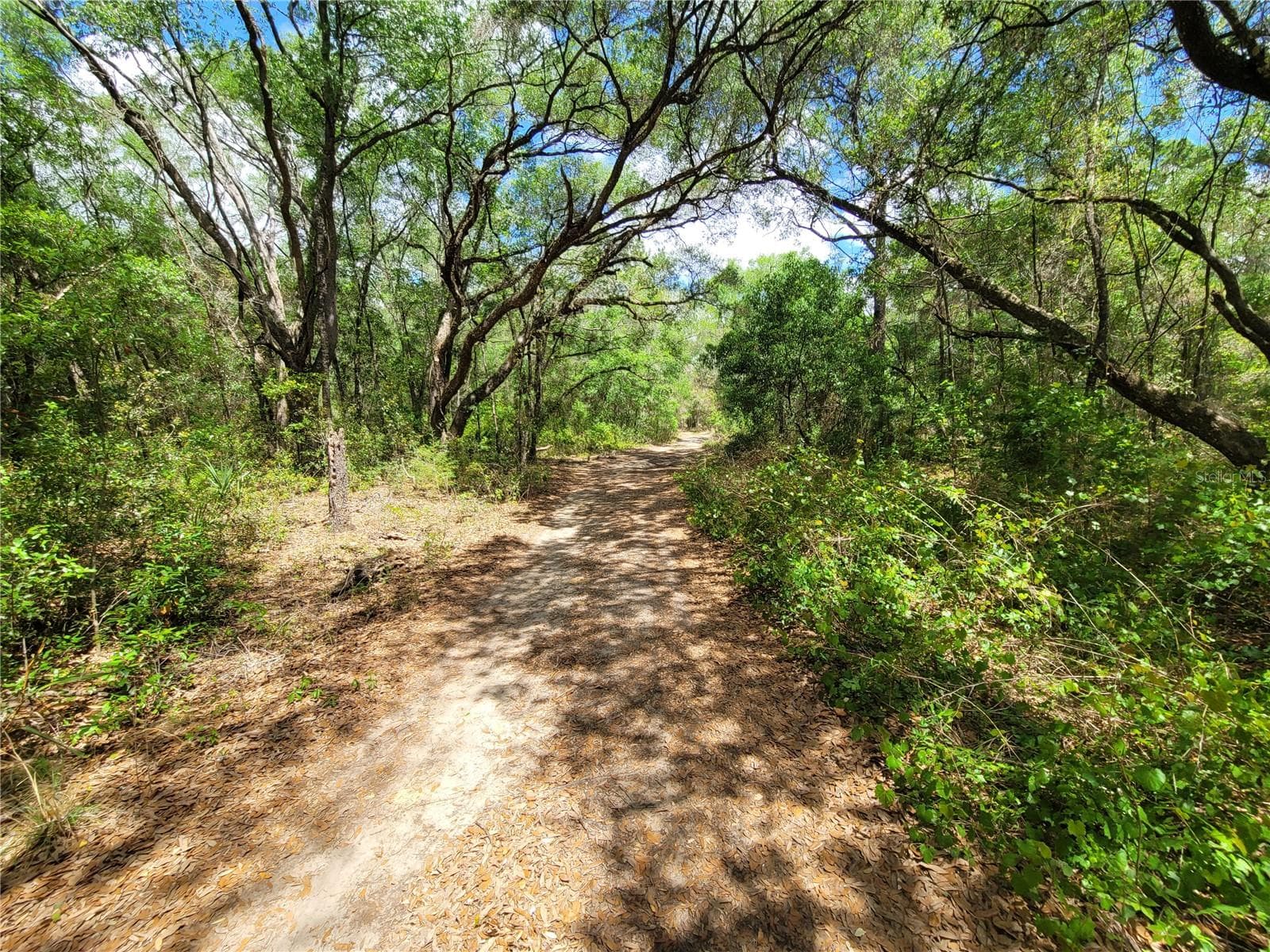 Land at 912 FERNCREEK AVE, INVERNESS, photo 3 of 3