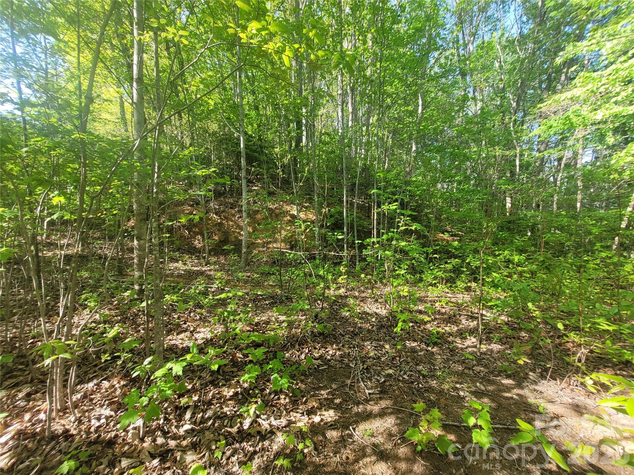 Build Site #1 - Waynesville