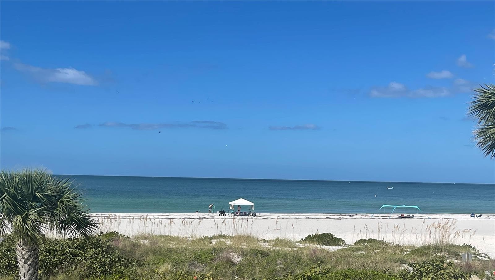 Condominium at 1390 GULF BLVD #PH-3, CLEARWATER BEACH, photo 72 of 76