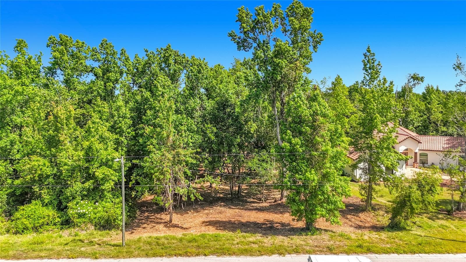 Land at LOT 19 LAKE HILLS DR., RIVERVIEW, photo 10 of 25