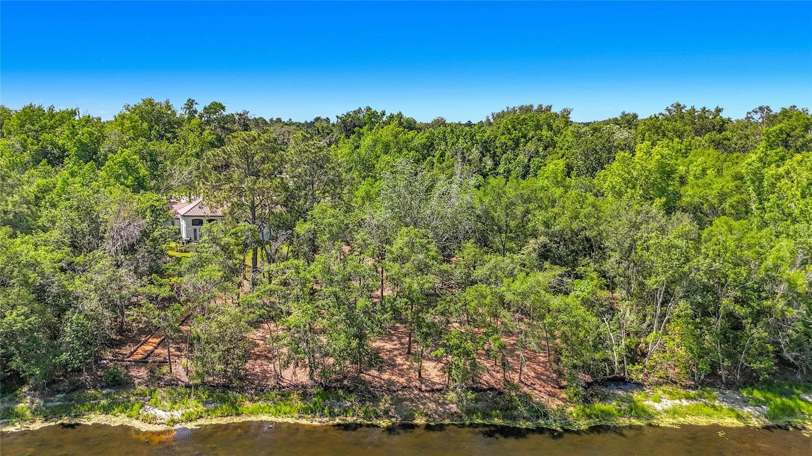 Land at LOT 19 LAKE HILLS DR., RIVERVIEW, photo 11 of 25