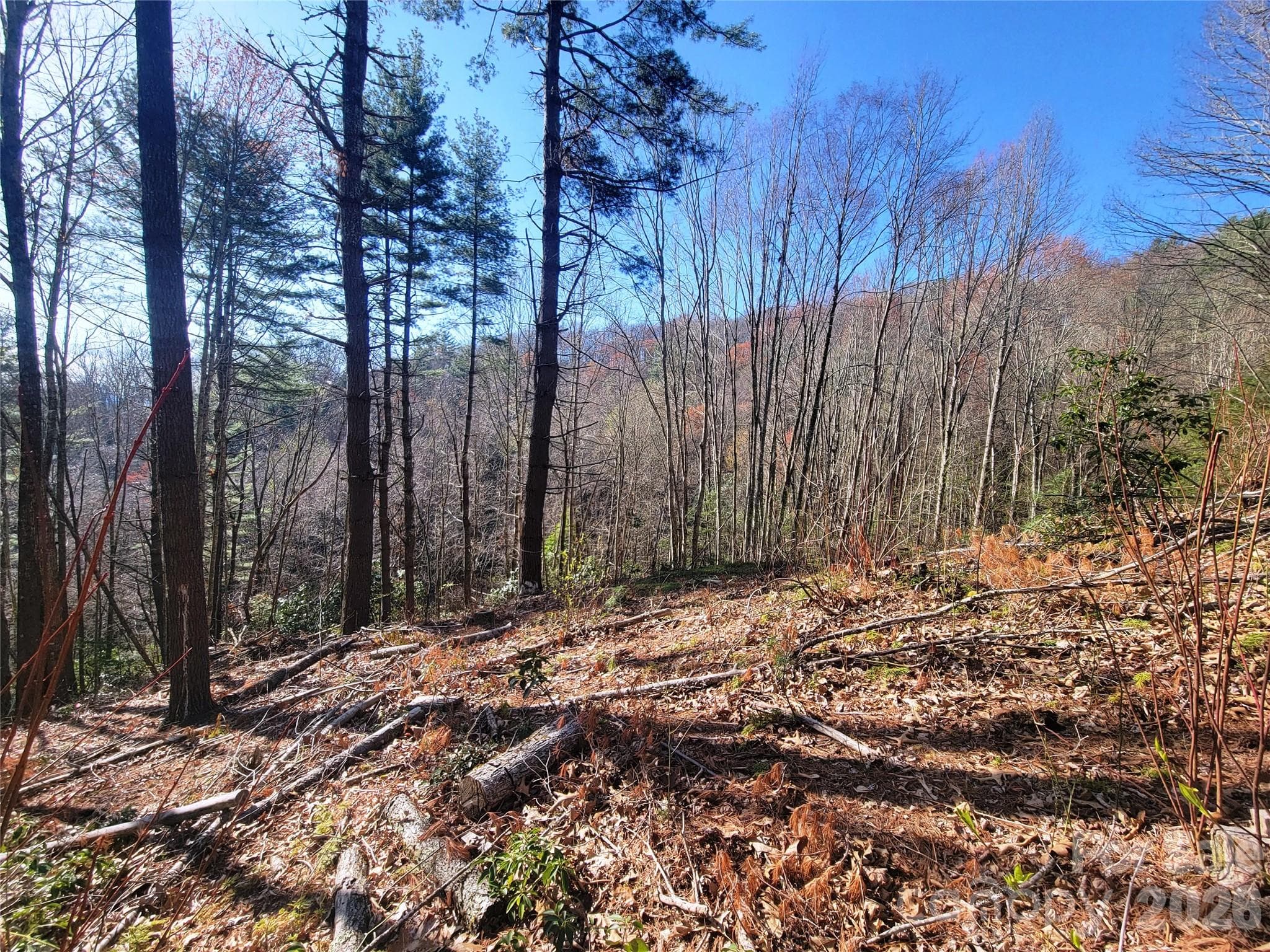 Lot at 111 Digging Seng Trail, Waynesville, photo 6 of 23