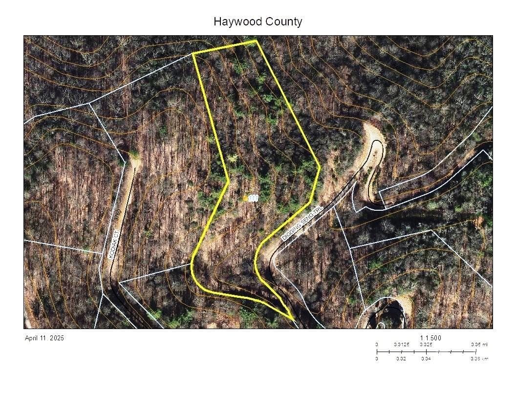 Lot at 111 Digging Seng Trail, Waynesville, photo 9 of 23