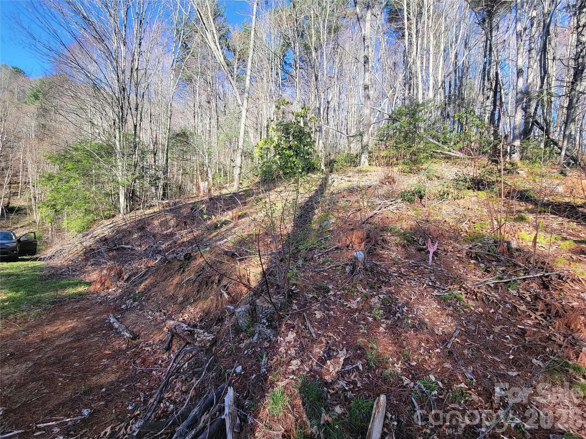 Lot at 111 Digging Seng Trail, Waynesville, photo 14 of 23