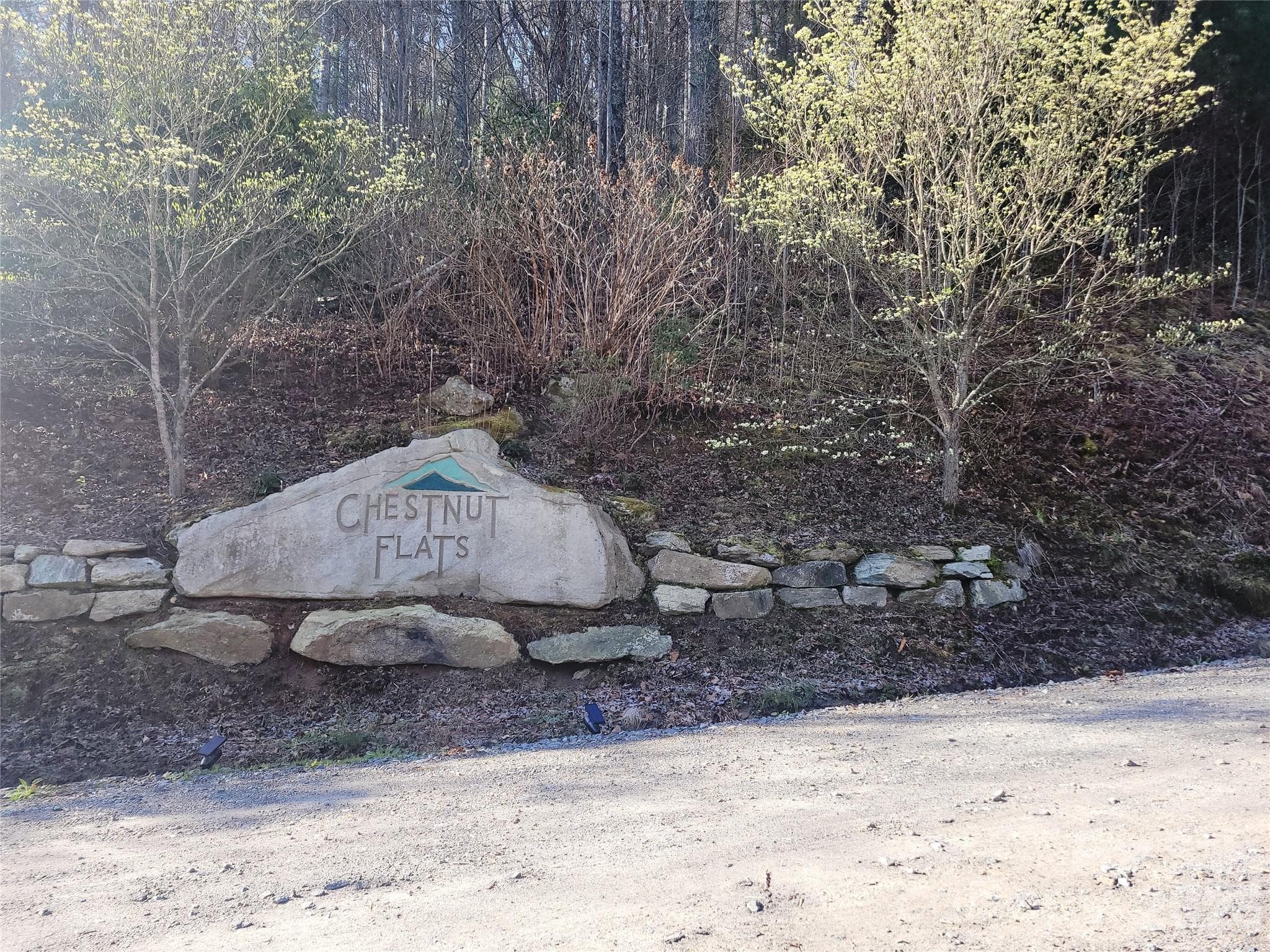 Lot at 111 Digging Seng Trail, Waynesville, photo 17 of 23