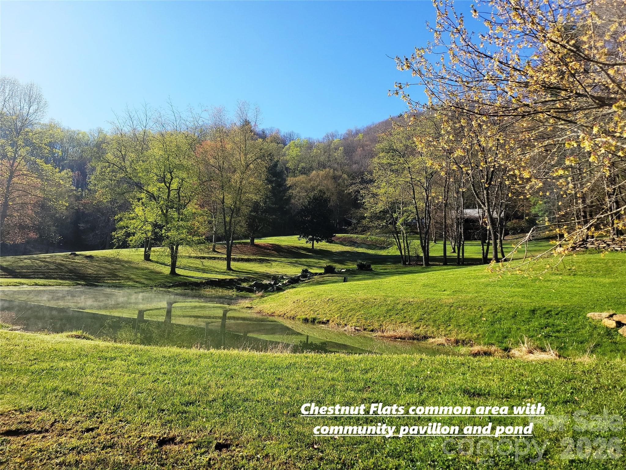 Lot at 111 Digging Seng Trail, Waynesville, photo 18 of 23