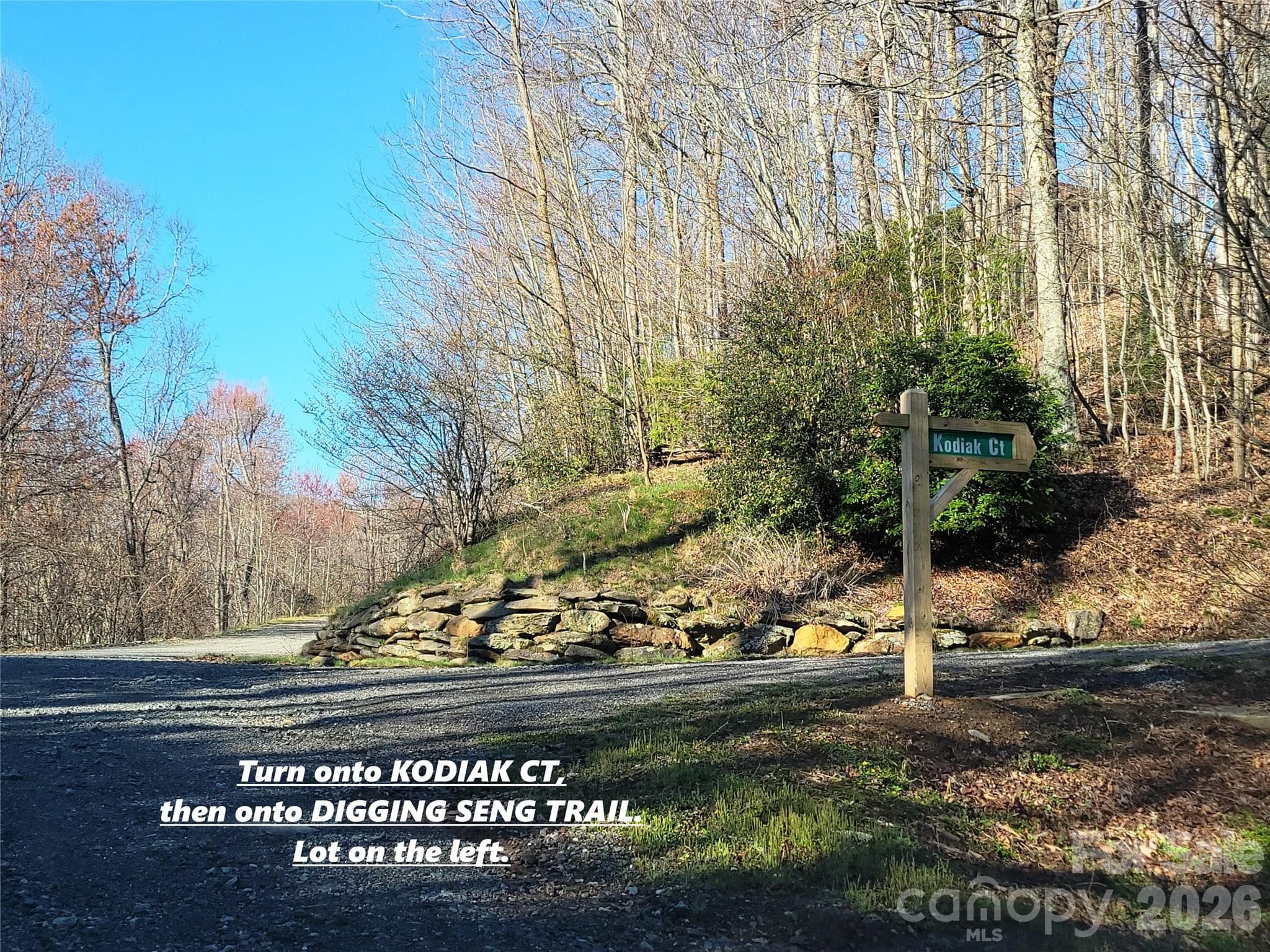 Lot at 111 Digging Seng Trail, Waynesville, photo 19 of 23
