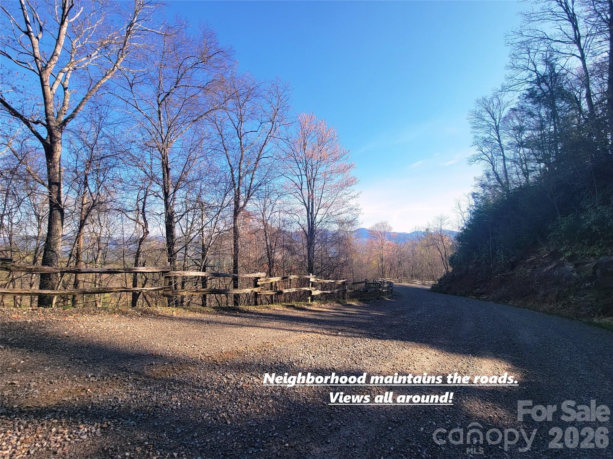 Lot at 111 Digging Seng Trail, Waynesville, photo 20 of 23