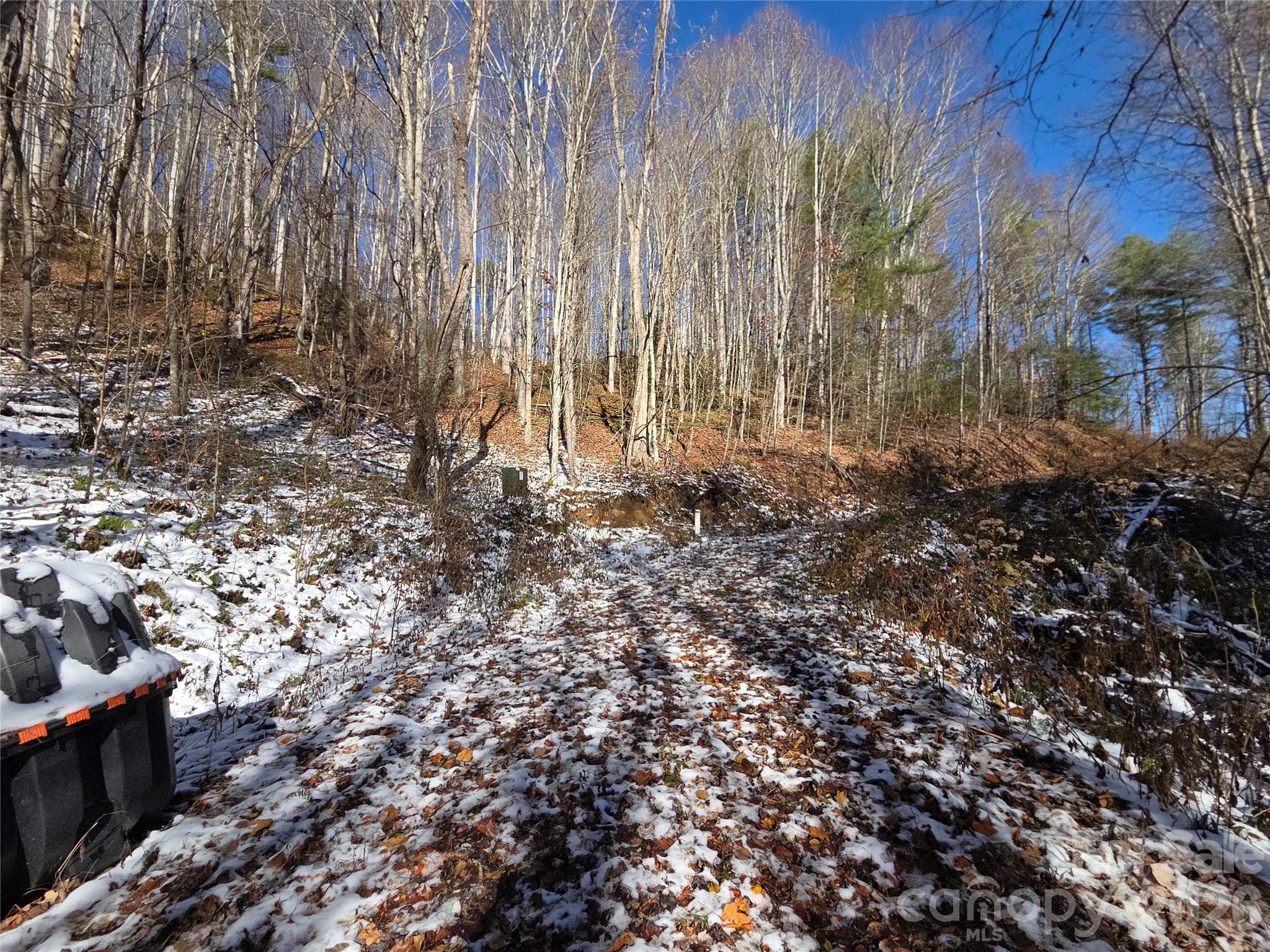 Lot at 111 Digging Seng Trail, Waynesville, photo 21 of 23