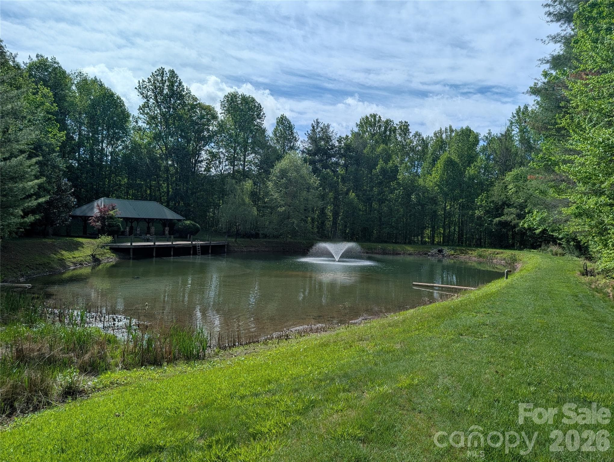 Lot at Hendersonville, photo 2 of 21