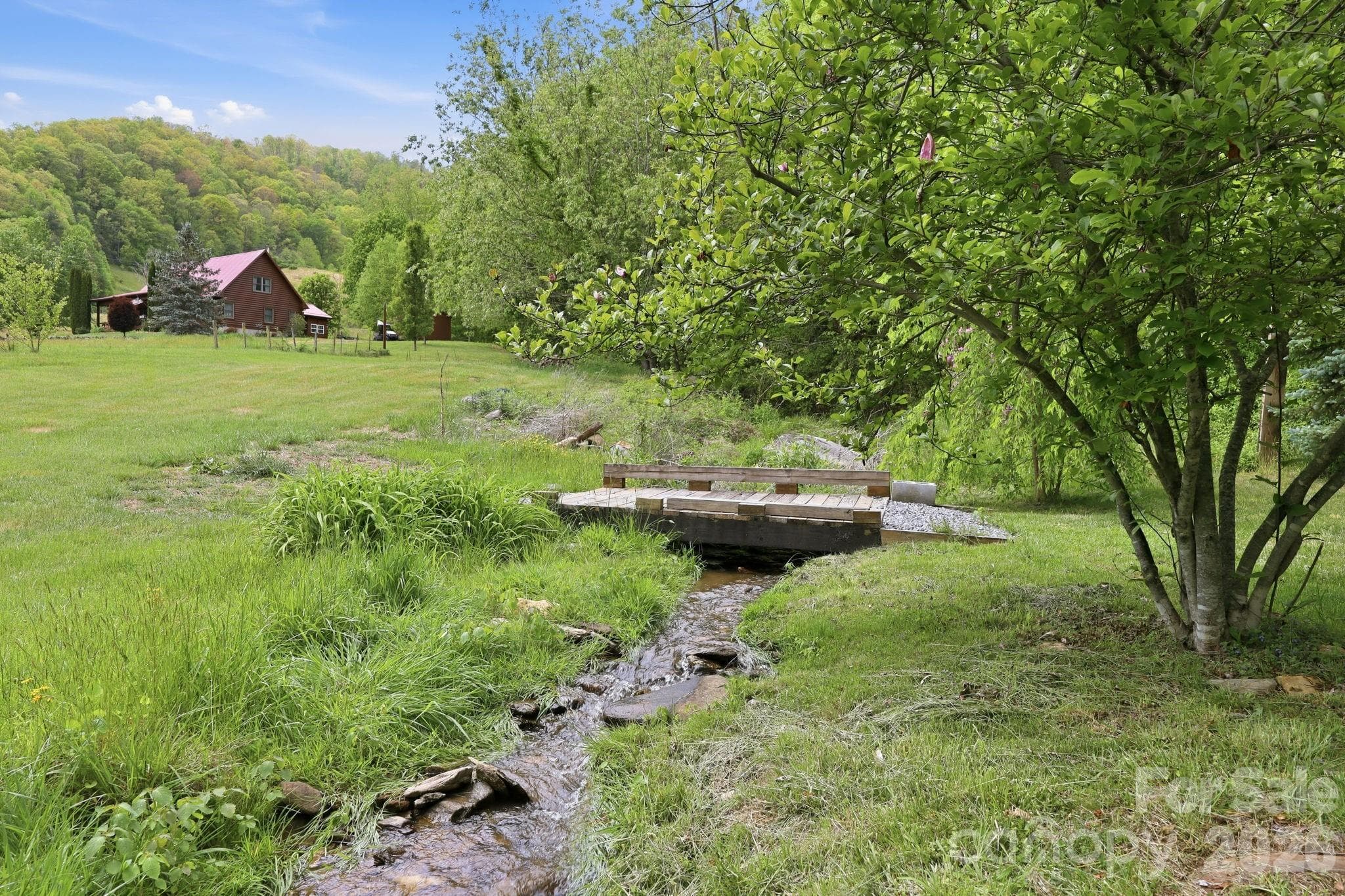 Small stream that runs thru the property - 2225 Bald Creek Road, Clyde