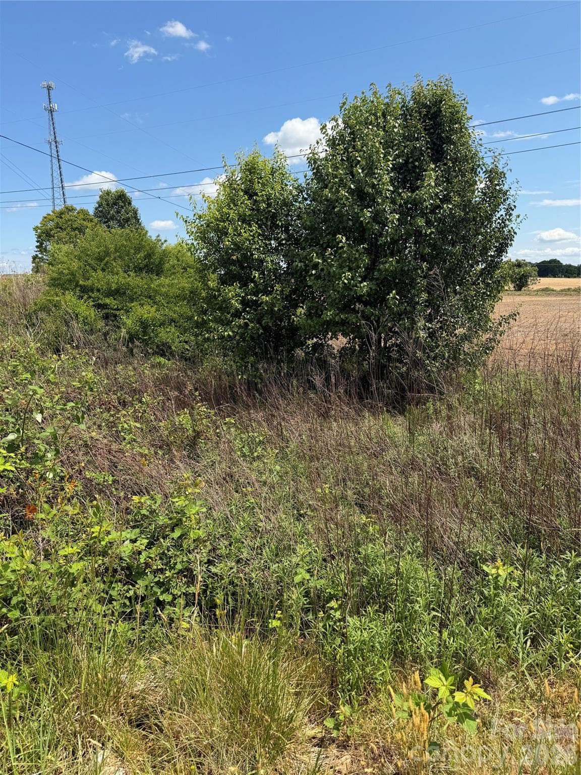 Lot at Shelby, photo 2 of 9